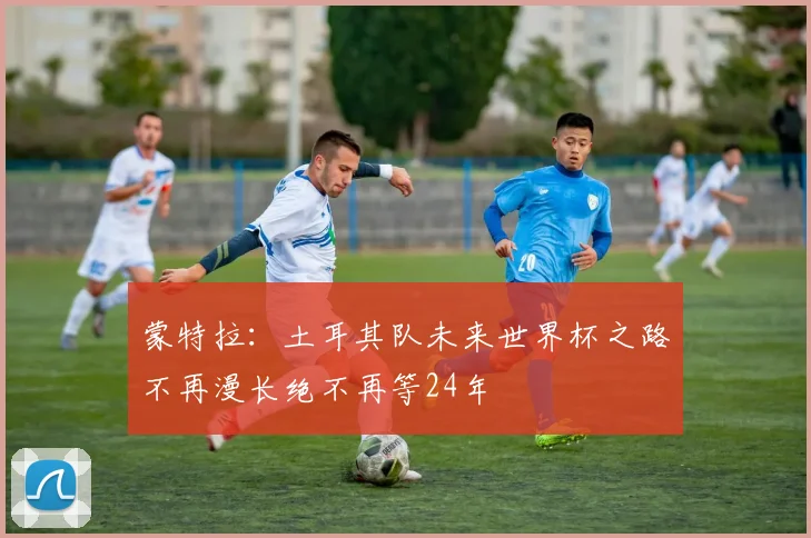 蒙特拉：土耳其队未来世界杯之路不再漫长绝不再等24年